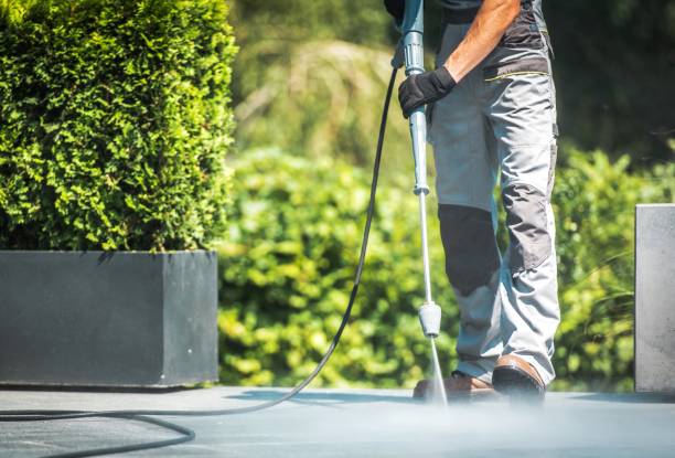 Best Roof Washing  in Lake Delta, NY