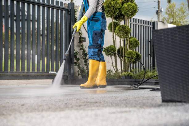 Animal Enclosure Cleaning in Lake Delta, NY